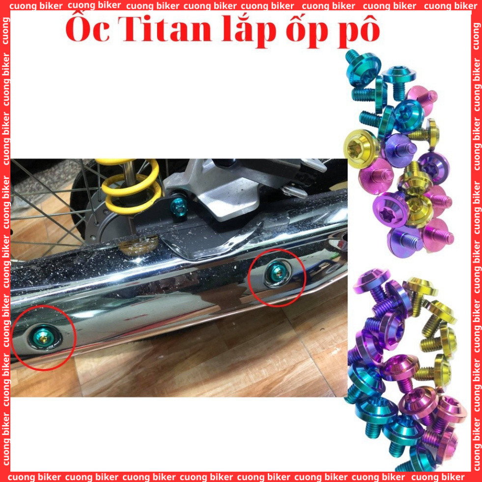 Ốc titan 6li10 gắn ốp pô hộp xich xe wave a RSX Fi 110 Wave 50 100 110  RSX Fi 110 trang trí tạo vẻ 