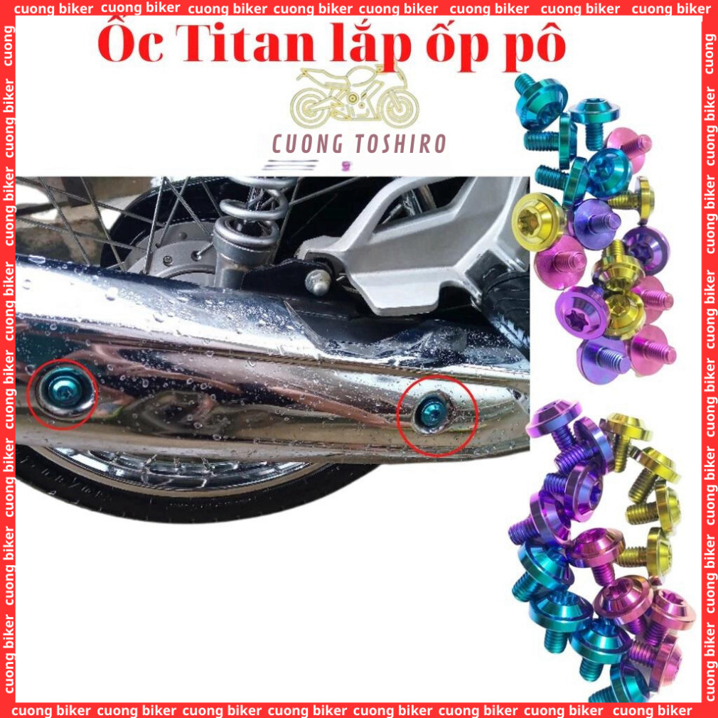 Ốc titan gr5 gắn ốp pô xe wave a Wave a 2007-2025 50cc 100cc 110cc RSX Fi 110 cuong biker