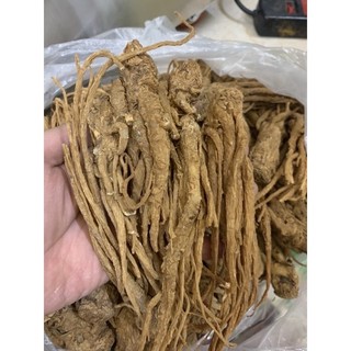nhân sâm đương quy khô 100g