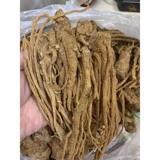 nhân sâm đương quy khô 100g