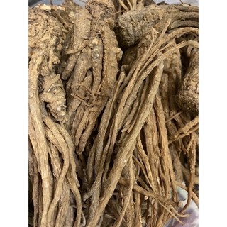 nhân sâm đương quy khô 100g