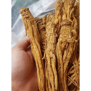 nhân sâm đương quy khô 100g