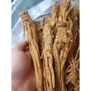 nhân sâm đương quy khô 100g
