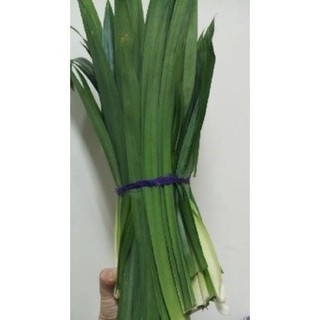 Trà lá dứa (lá nếp thơm) sấy lạnh 100g