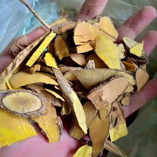 [Giá Sỉ] 1kg Cây Mật Gấu (Khô, Sạch, Thơm)