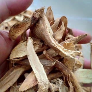 Củ Gai Khô An Thai 500g