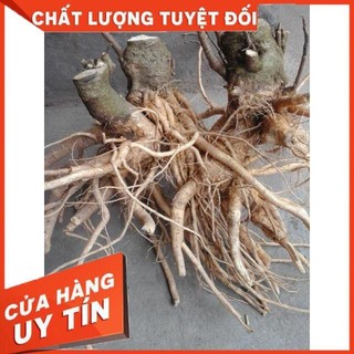 Rễ Đinh Lăng Khô ( Thái Lát 1kg)