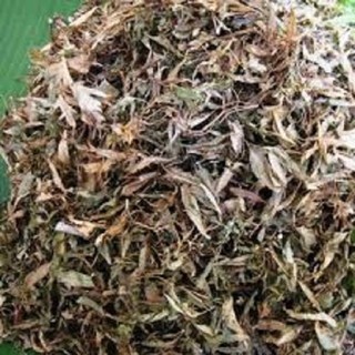 [1KG] Lá Đinh Lăng khô (lá đinh năng nếp lá nhỏ) - Cực thơm