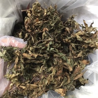 [1KG] Lá Đinh Lăng khô (lá đinh năng nếp lá nhỏ) - Cực thơm