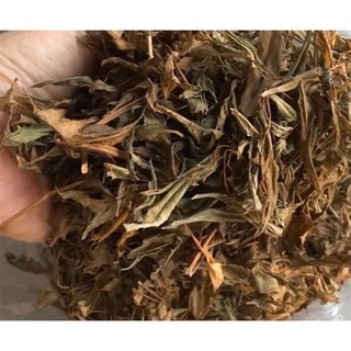 [1KG] Lá Đinh Lăng khô (lá đinh năng nếp lá nhỏ) - Cực thơm