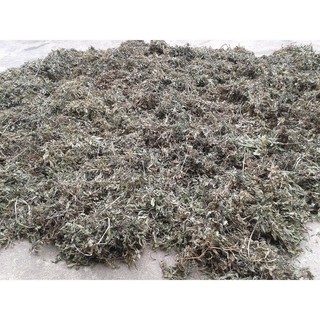 [1KG] Lá Đinh Lăng khô (lá đinh năng nếp lá nhỏ) - Cực thơm