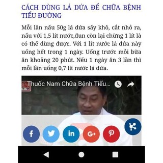 Trà lá dứa (lá nếp thơm) sấy lạnh