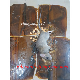 Sỉ 12 Keo dính chuột ( loại tốt) Minh Phương