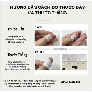 Nailbox Thiết Kế Sang Chảnh 98