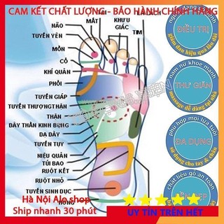 Bàn Lăn Gỗ Massage Chân [5 HÀNG LỚN] - [HÀNG CHÍNH HÃNG]