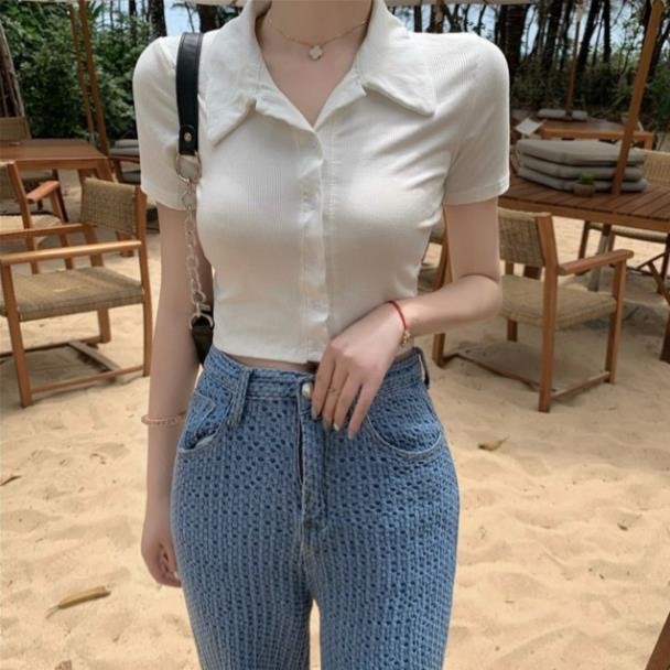 Áo Thun Nữ Cổ Bẻ 6 Cúc Chất Thun Gân Co Giãn Xịn - A2X