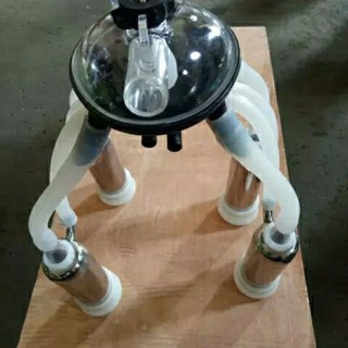 Bộ Cốc Máy Vắt Sữa,Bộ Cốc Đựng Sữa,Bò Sữa Vắt Đầu,Phụ Kiện Máy Vắt Sữa,Đầu Vắt Sữa Máy Hút Chân Không