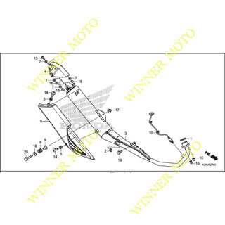 ỐC BẮT CỔ BÔ/PÔ XE WINNER