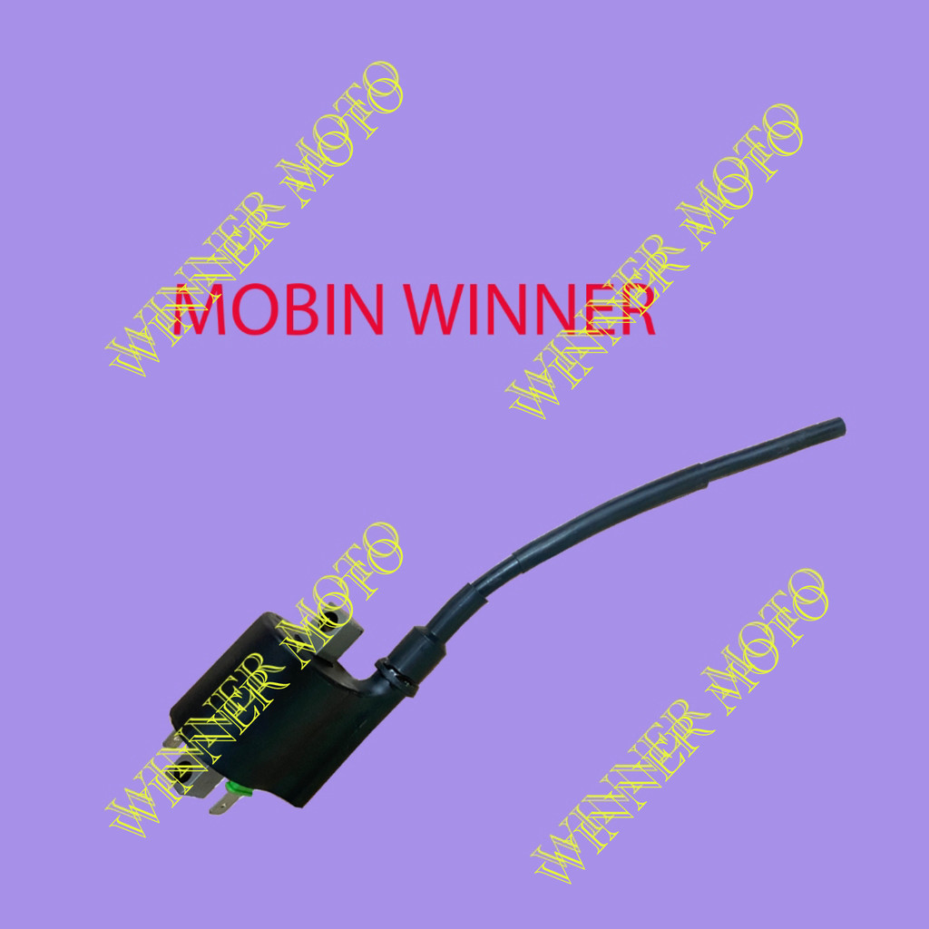 Mobin cao áp, Mobin sườn Winner - Winner X - GTR
