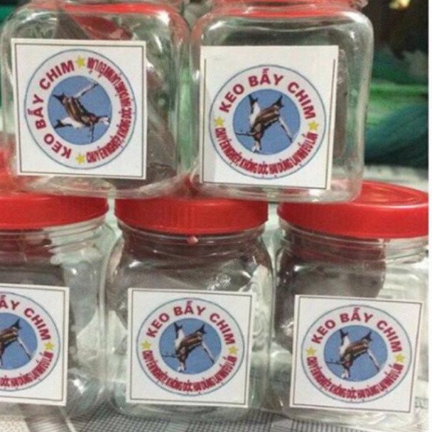 5 hũ keo bẫy chim sẻ habdk888