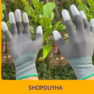 Găng Tay Màu Xám Phủ PU Đầu Ngón ESD Giá Đẹp