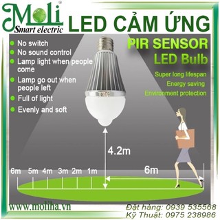 ĐÈN LED CẢM ỨNG THÂN NHIỆT MOLI