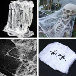 Mạng nhện trang trí lễ hội Halloween