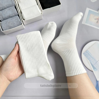 [ SET 5 ĐÔI ] Tất vớ trơn nam nữ cổ cao lửng ngắn chất cotton dáng thể thao cao cấp - tatxinhgiare