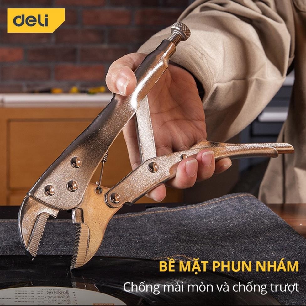 Kìm Bấm Chết Mỏ Cong Deli Cao Cấp Chính Hãng 10 Inch Miệng Thẳng - Chất Liệu Chống Mòn, Gỉ, Siêu Bền