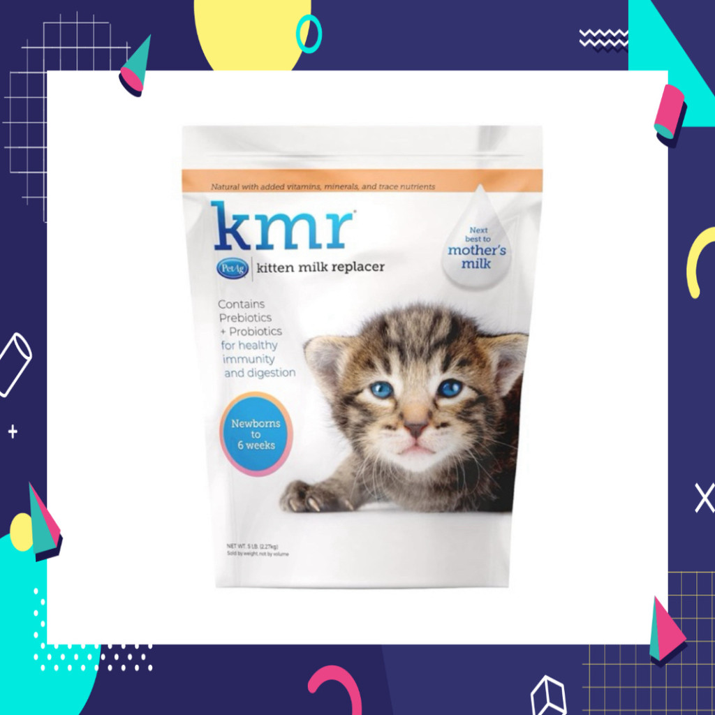 Sữa bột thay đổi giành riêng cho mèo con KMR 🍼🥛