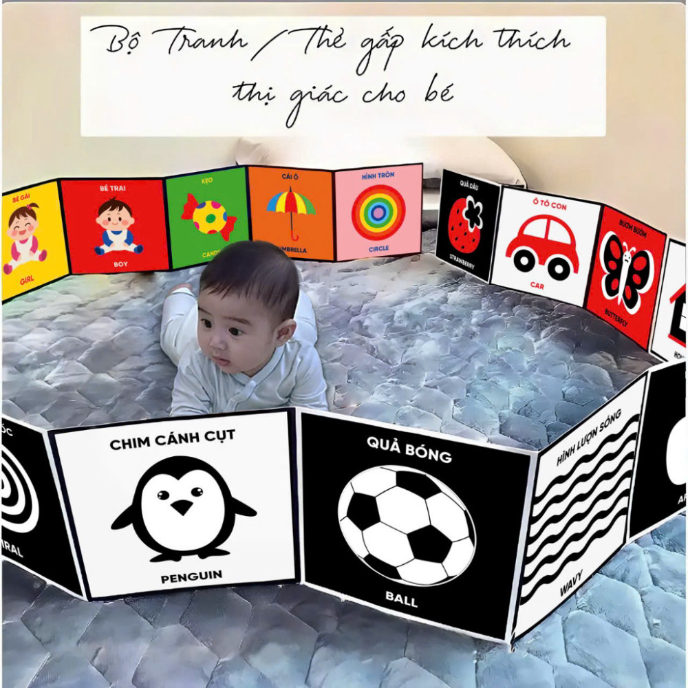 Thẻ Kích Thích Thị Giác Cho Bé Từ 0-6 Tuổi - Hỗ Trợ Nhận Biết Màu Sắc Và Chi Tiết Vật Thể