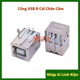 [Túi 5 Cái] Cổng USB A/B/Micro/Mini Đầu Đực/Cái Chân Cắm/Dán (Đầu USB, USB A, USB B, USB Micro, USB Mini)