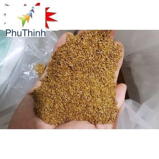 100 - HẠT GIỐNG CỎ NHUNG NHẬT