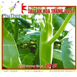 🌼🌼 Hạt giống cải rổ(cải làn) 🌼🌼
