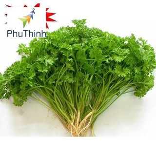 Hạt giống Ngò Tây (Rau Mùi Xoăn) (1g)
