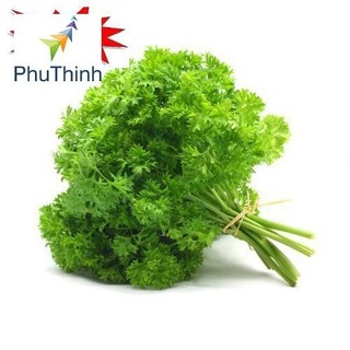 Hạt giống Ngò Tây (Rau Mùi Xoăn) (1g)