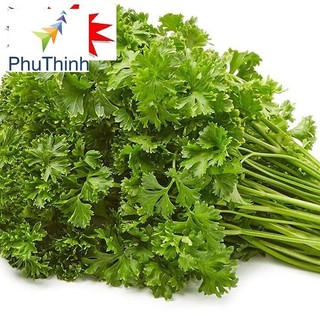 Hạt giống Ngò Tây (Rau Mùi Xoăn) (1g)