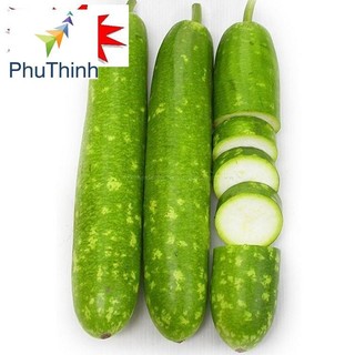 Hạt giống Bầu sao F1 (5 hạt)