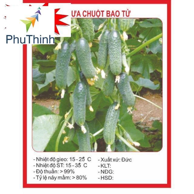 Hạt giống Dưa Bao Tử 10 Hạt