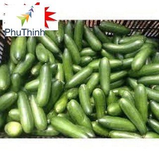 Hạt giống Dưa Bao Tử 10 Hạt