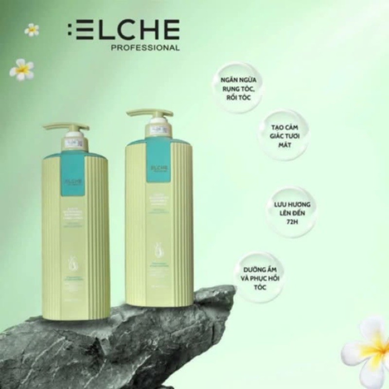 Dầu gội cao cấp Elche