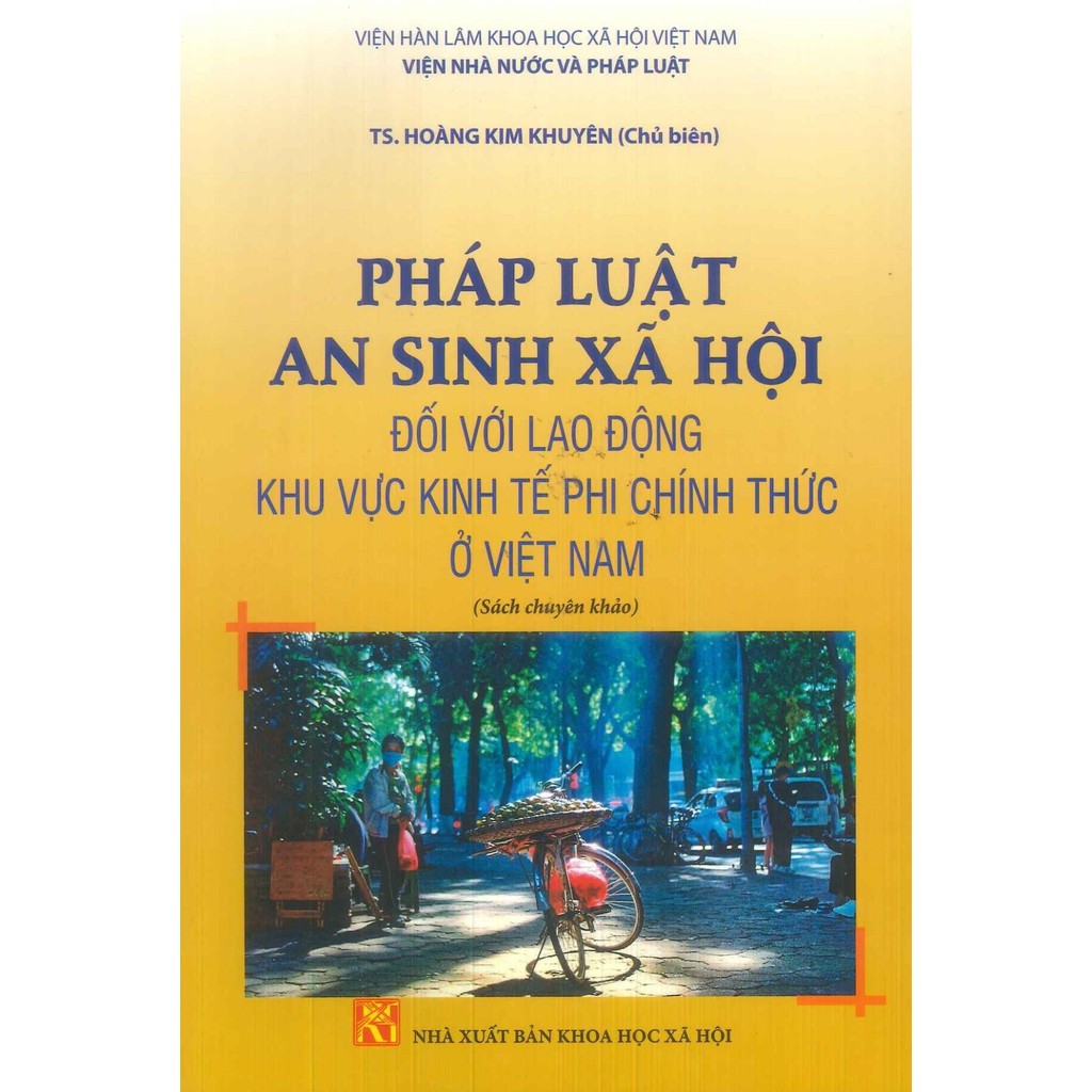 Sách Pháp luật an sinh xã hội đối với lao động khu vực kinh tế phi chính thức ở Việt Nam - KHXH