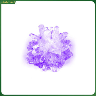 [Wm] DIY Faux Crystal Growing Kit Crafts Science Experiment Students Educational Toy