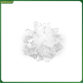 [Wm] DIY Faux Crystal Growing Kit Crafts Science Experiment Students Educational Toy