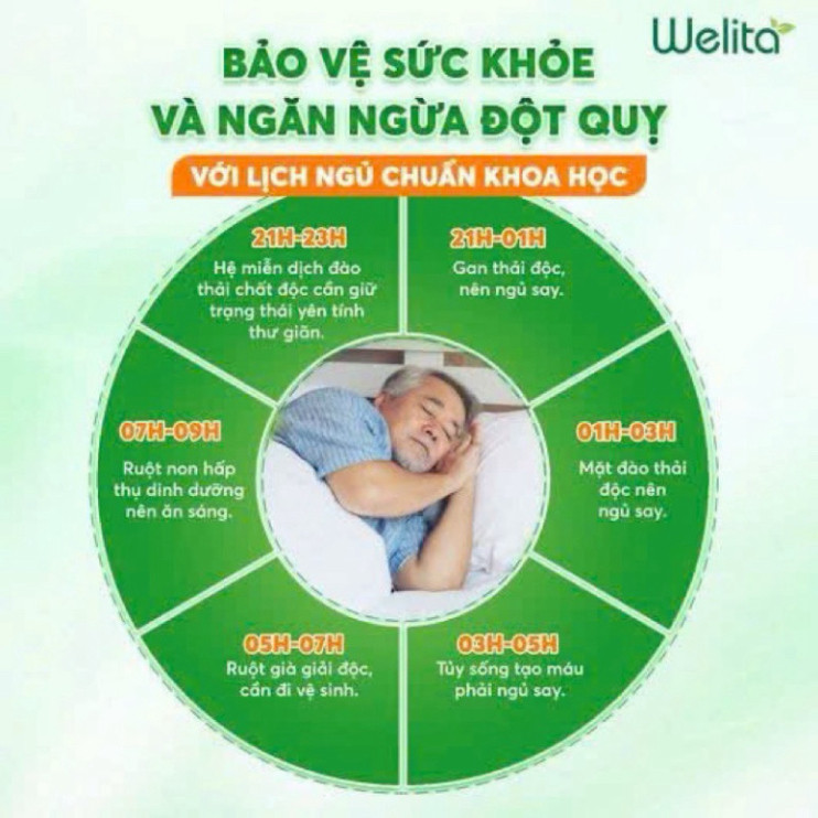 Welita - Bữa ăn thay thế đầy đủ dinh dưỡng từ 100% thực vật