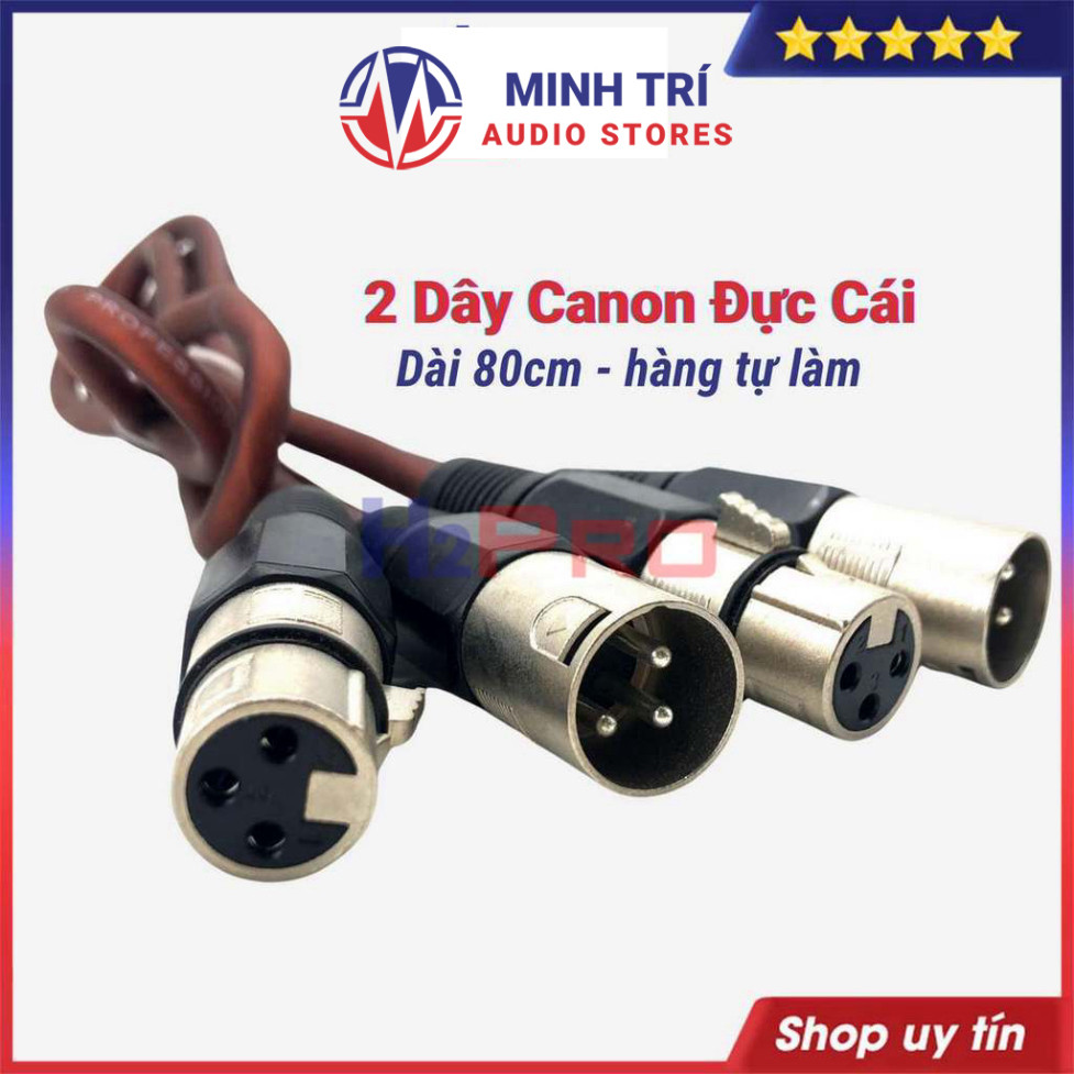Dây Canon Đực Cái 80Cm (2 Sợi) Chống Nhiễu, Dùng Cho Vang, Nâng Tiếng - H2Pro Tech Chất Lượng Cao