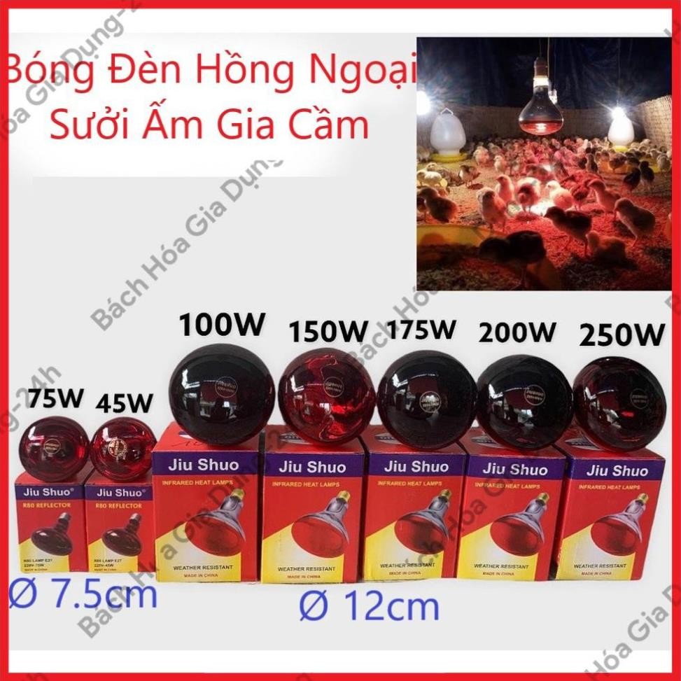 (Combo 2) Bóng đèn sưởi gia súc gia cầm, bóng úm gà, bóng đèn hồng ngoại, bóng sưởi  45W, 75W, 100W, 150W, 175W, 200W