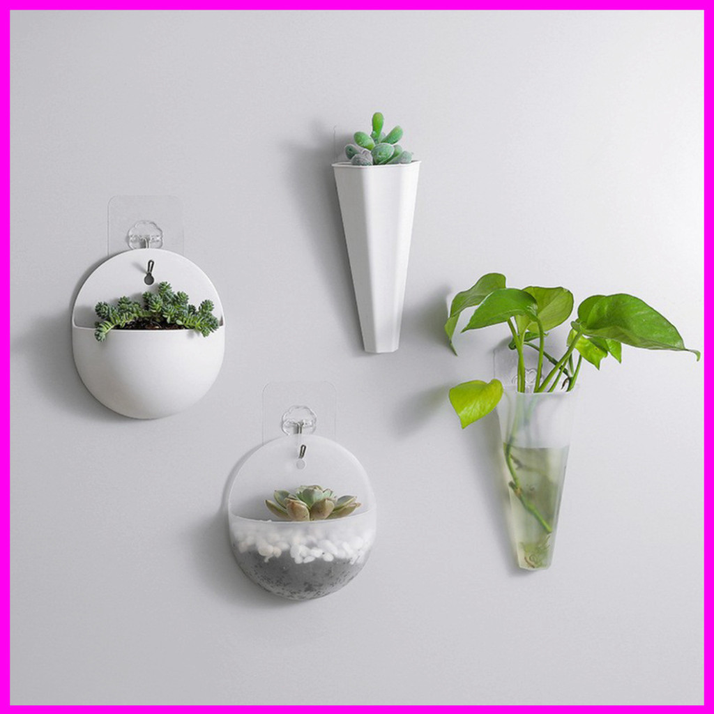 Chậu nhựa mini treo tường trang trí cây xanh, mang đến không gian sống thêm tươi mới và sinh động.