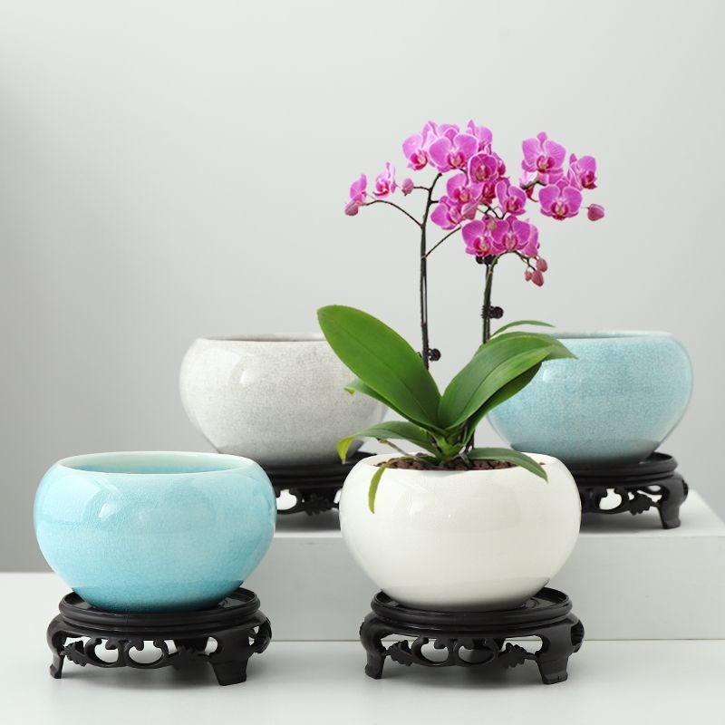 Chậu hoa gốm sứ tròn phong cách Trung Quốc sáng tạo, chậu cảnh quan gốm Celadon cổ điển, chậu cây bo