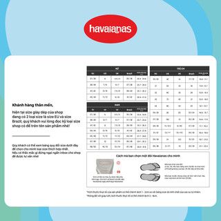  [Size Brazil] HAVAIANAS - Dép unisex Top 4000029-3581